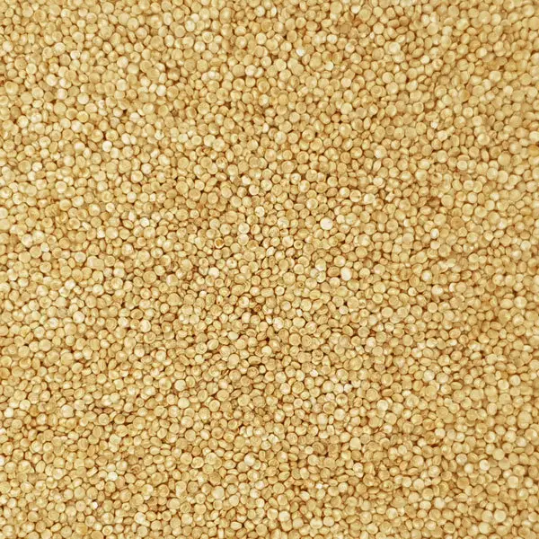 Fehér quinoa