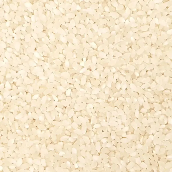Kerekszemű rizs (olasz)
