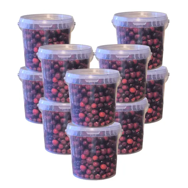 Egész szemű liofilizált vörös áfonya 1000 g (10x100g)