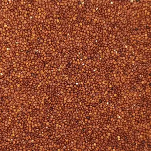 Vörös quinoa 