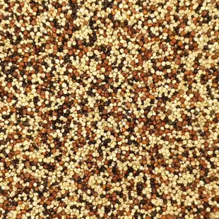 Tricolor quinoa (mix)